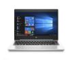 HP ProBook 455 G7 (7JN01AV_V4)