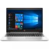 HP ProBook 455 G7 (7JN02AV_V10)