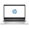 HP ProBook 455 G7 Silver (7JN01AV_V2)