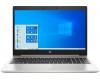 HP ProBook 455 G7 Silver (7JN02AV_TM2)