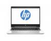 HP ProBook 455 G7 Silver (7JN02AV_V1)