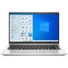 HP ProBook 455 G8 Pike Silver (1Y9H0AV_V4)