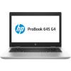 HP ProBook 645 G4 (3NU38AW)