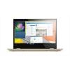 Lenovo Yoga 520-14IKB (80X800WRRA)