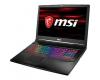 MSI GE73 8RC RAIDER (GE738RE-672US)