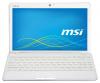 MSI Wind U270DX