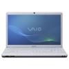 Sony VAIO VPC-EE45FX