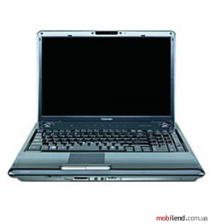 Toshiba Satellite P305D-S8828