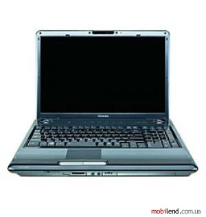 Toshiba Satellite P305D-S8900