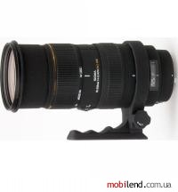 Sigma AF 50-500mm F4-6.3 APO EX DG/HSM