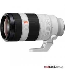 Sony SEL100400GM 100-400mm f/4,5-5,6 GM OSS FE