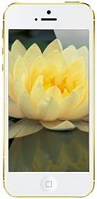 Apple iPhone 5 64GB (Gold)