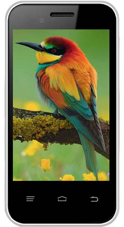 Intex Aqua V5