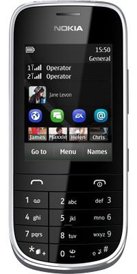 Nokia Asha 202 (Grey)