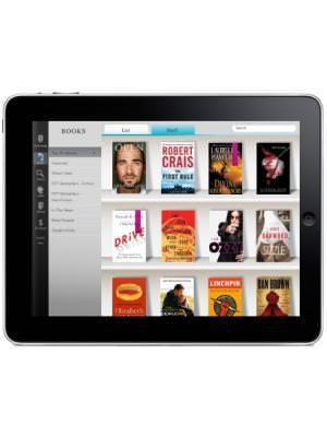 Notion Ink Adam Transflexive Display and WiFi