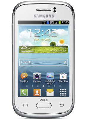 Samsung Galaxy Young Duos