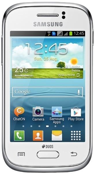 Samsung S6312 Galaxy Young (White)