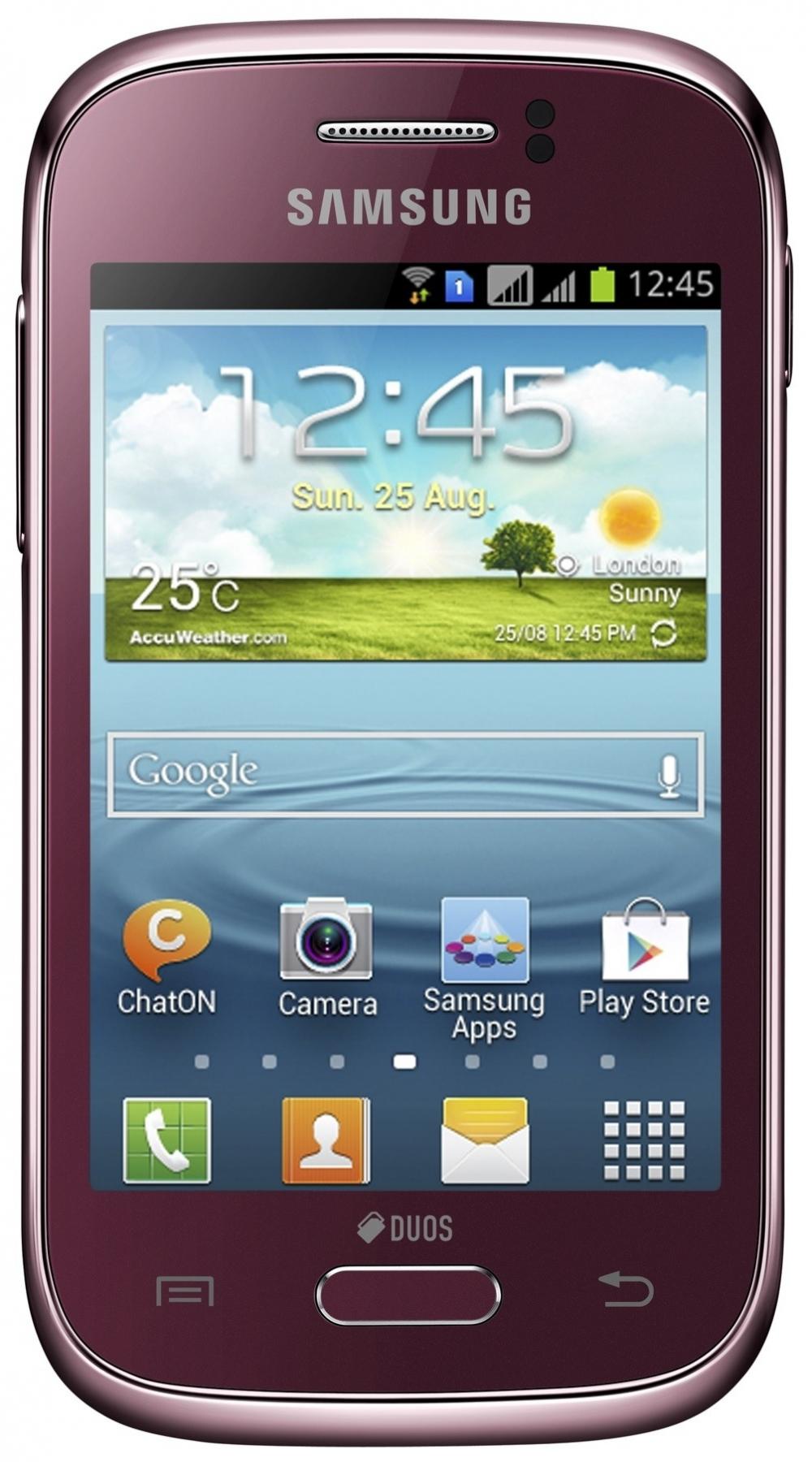 Samsung S6312 Galaxy Young (Wine Red)
