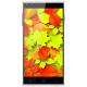 Doogee DG550, ���� #1