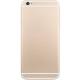 Greenberry 6 Plus, ���� #2