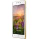 Greenberry A1i, ���� #2