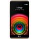 LG K220DS X Power Gold, ���� #1