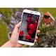 LG Optimus G Pro, ���� #5