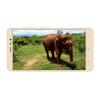 Xiaomi Redmi Note 3 16GB (Gold), ���� #8