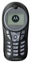 Motorola C113
