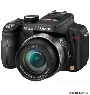 Panasonic Lumix DMC-FZ100