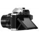 Olympus OM-D E-M10 kit (14-42mm) Silver, ���� #3