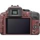 Panasonic Lumix DMC-G3 kit (14-42mm) Brown, ���� #2