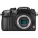 Panasonic LUMIX DMC-GH3 body, ���� #1