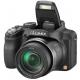 Panasonic Lumix DMC-FZ60, ���� #3