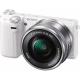 Sony NEX-5TLW (16-50mm), ���� #1