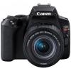 Canon EOS 250D body