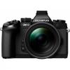 Olympus OM-D E-M1 kit (14-42mm)