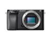 Sony Alpha A6100 body