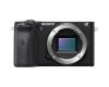 Sony Alpha A6600 body