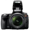 Sony Alpha SLT-A55