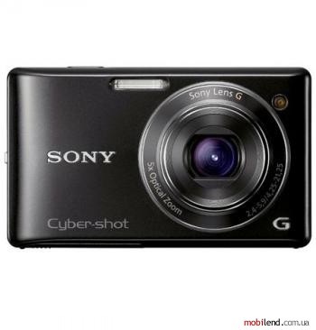 Sony Cyber-shot DSC-W390