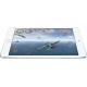 Apple iPad mini 3 Wi-Fi LTE 128GB Silver (MH3M2),  #3
