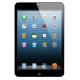 Apple iPad mini Wi-Fi 16 GB Black (MD528, MF432),  #1