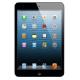 Apple iPad mini Wi-Fi 16 GB Black (MD528, MF432), ���� #1