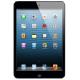 Apple iPad mini Wi-Fi LTE 16 GB Black (MD540, MD534),  #1