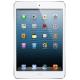 Apple iPad mini Wi-Fi LTE 16 GB White (MD543, MD537),  #1