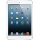 Apple iPad mini Wi-Fi LTE 16 GB White (MD543, MD537), ���� #1