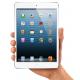 Apple iPad mini Wi-Fi LTE 16 GB White (MD543, MD537),  #3