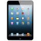 Apple iPad mini Wi-Fi LTE 32 GB Black (MD541),  #1