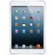 Apple iPad mini Wi-Fi LTE 32 GB White (MD544, MD538), ���� #1